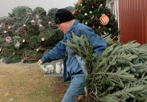 Bottoms Tree Farm