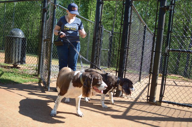 Dog park